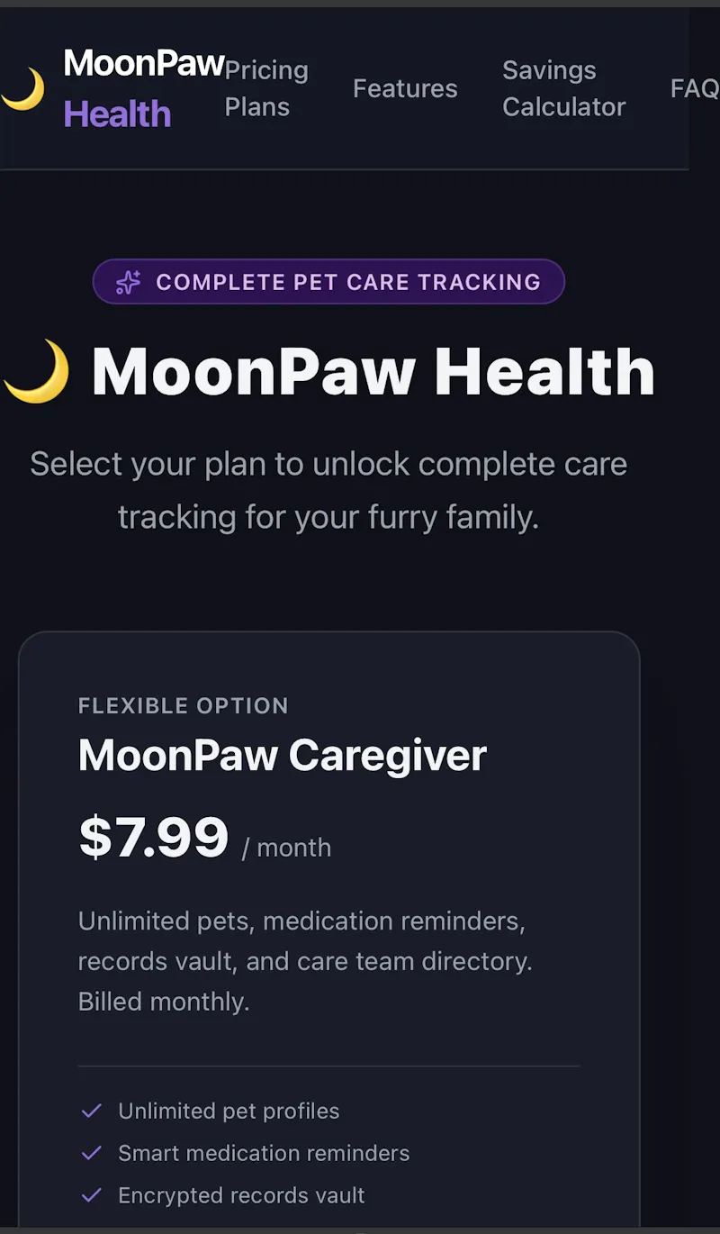 RainingMoon Studios screenshot 2