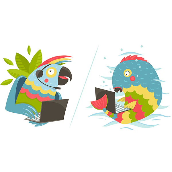 A Guide to Live Chat Software