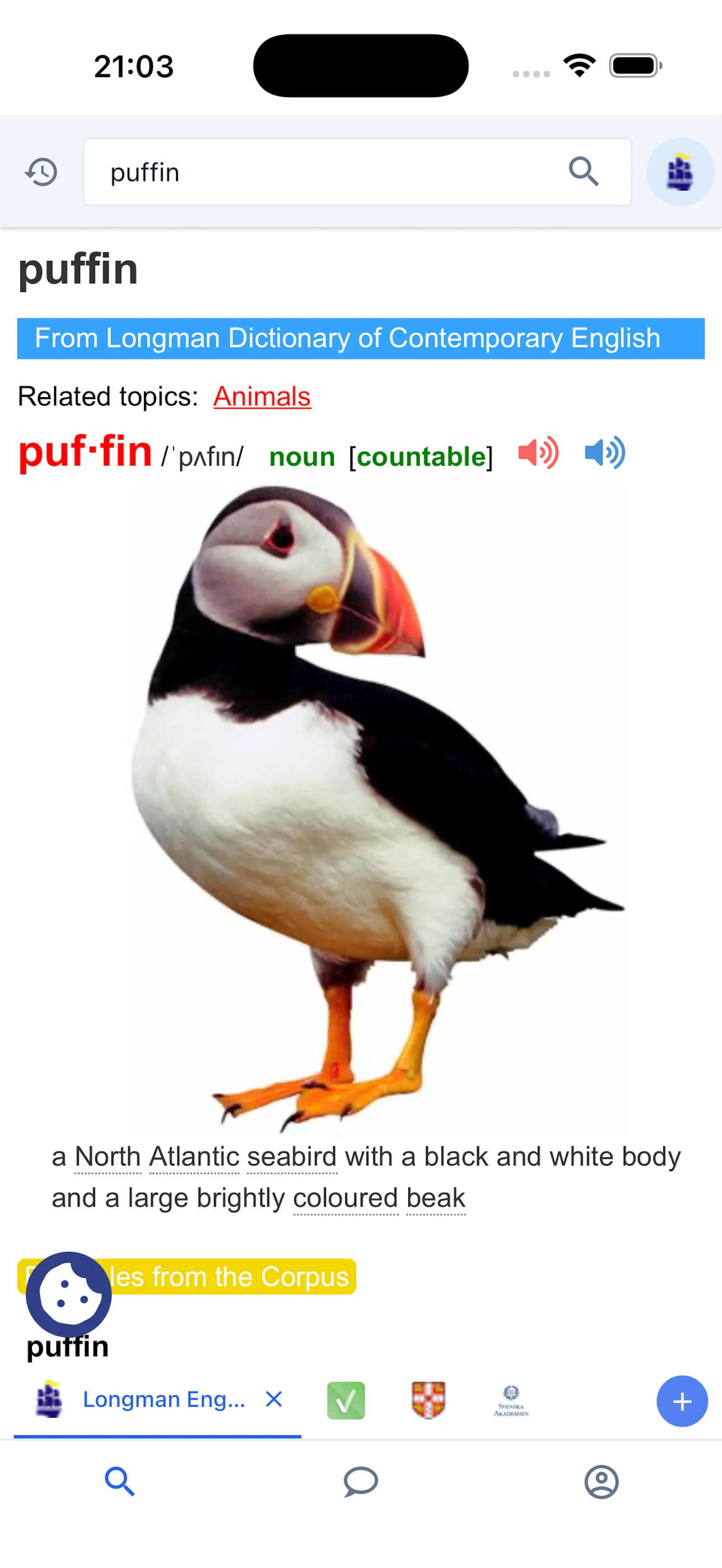 Puffins screenshot 3