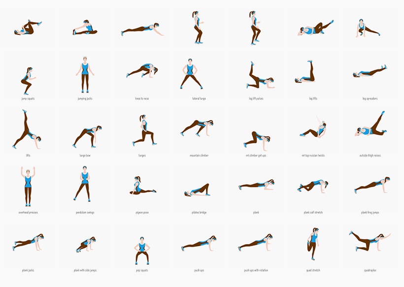 Perfect Workout gallery image