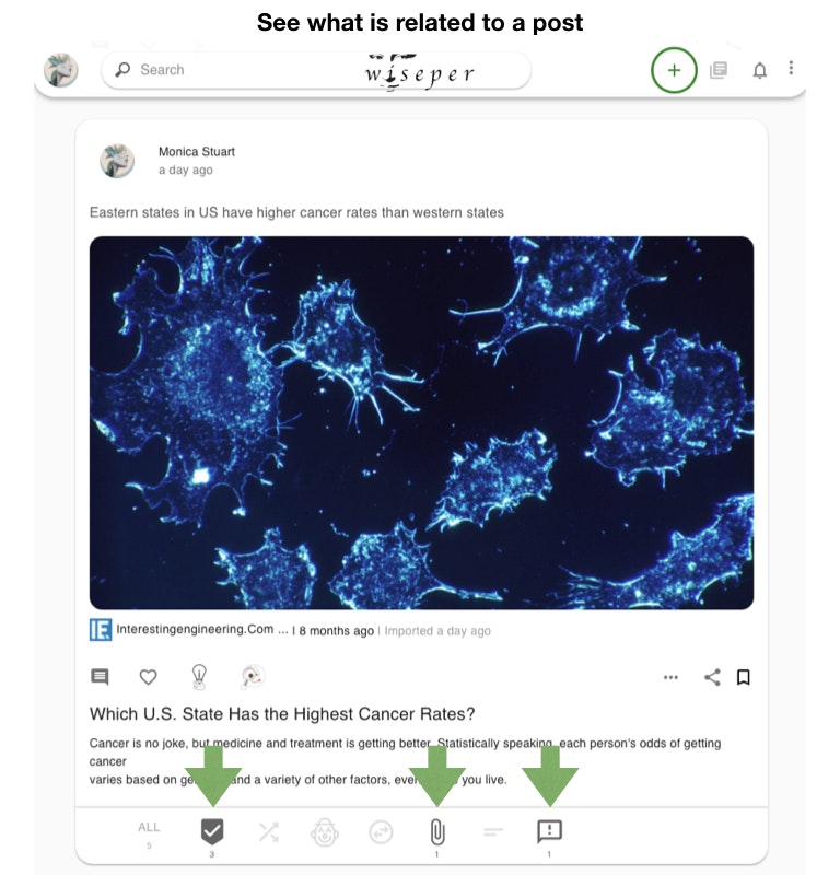 Wiseper gallery image