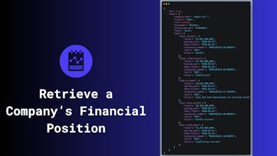 SEC Financial Reports API gallery image