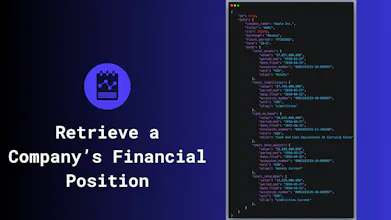 SEC Financial Reports API gallery image