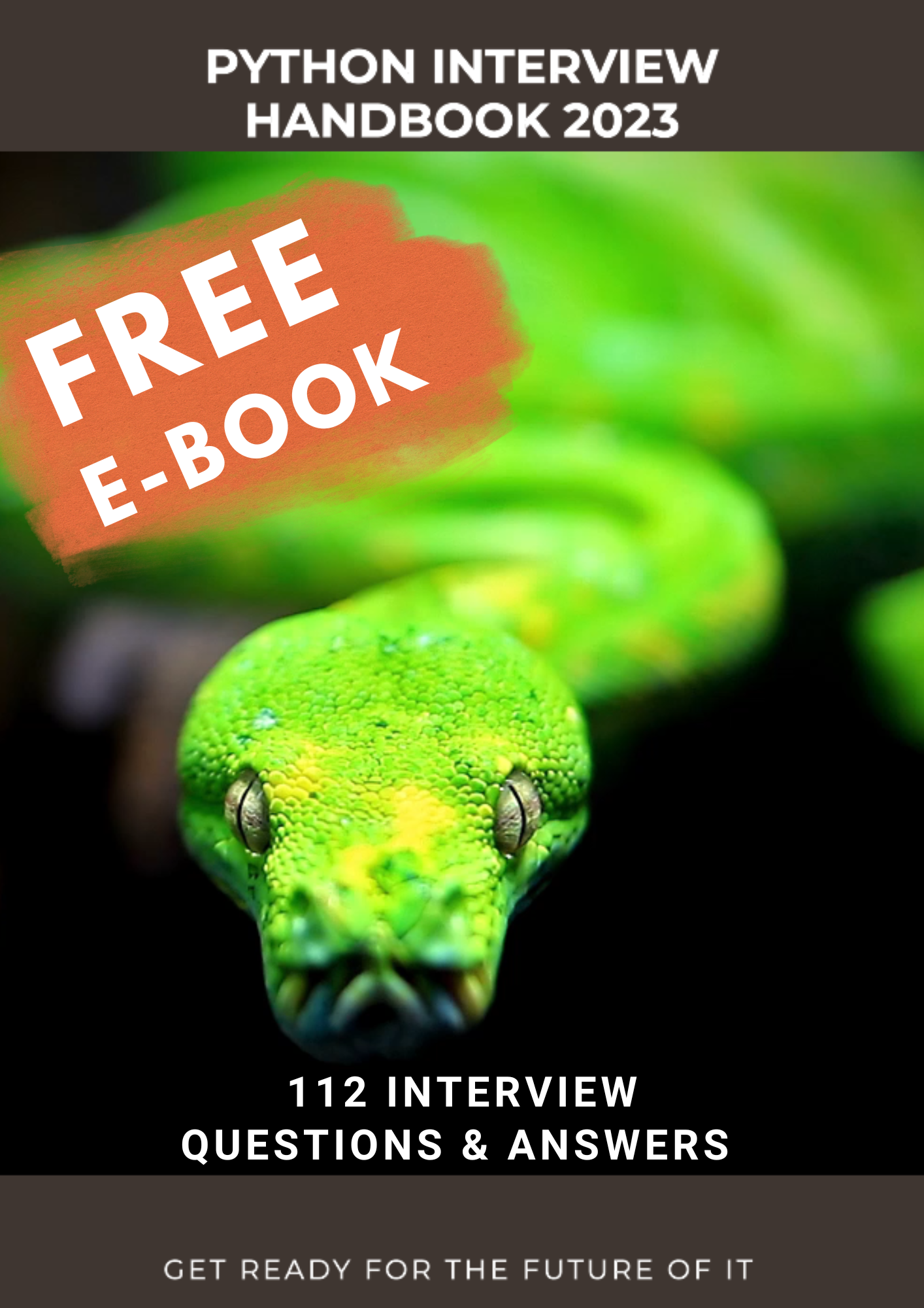 The Python Interview Handbook 2023 FREE 