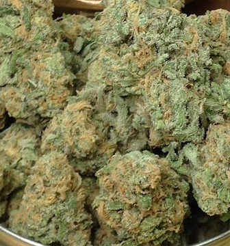 Buy Blue Dream Online 