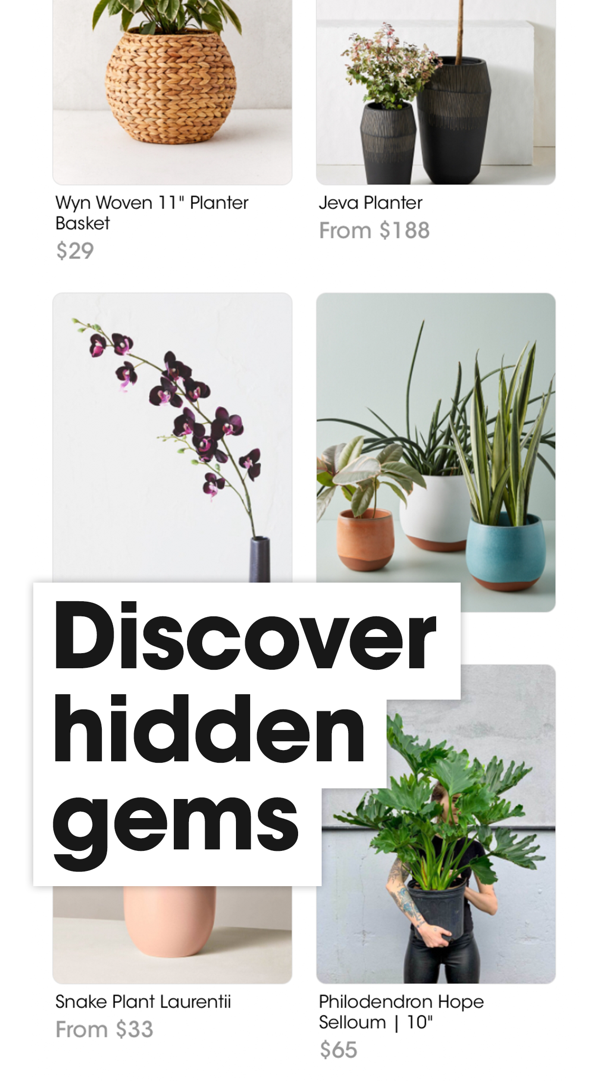 Autumn gallery image