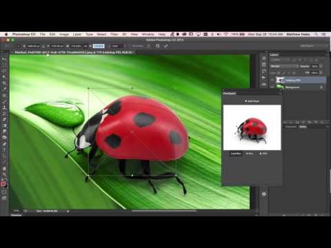 Pixelsquid gallery image