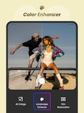 VikPea gallery image