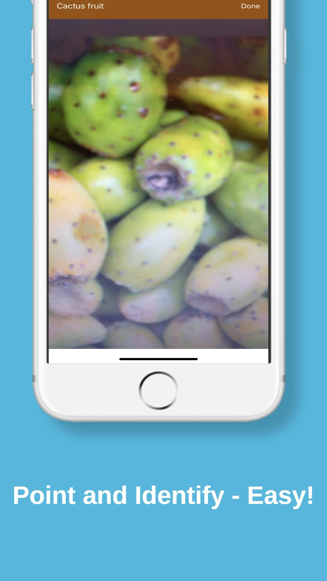 Ingrify gallery image