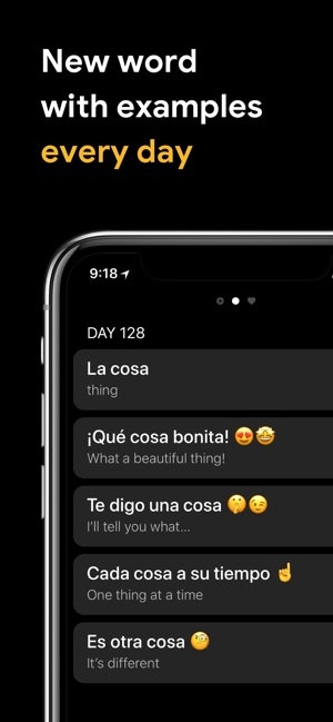 VocApp gallery image