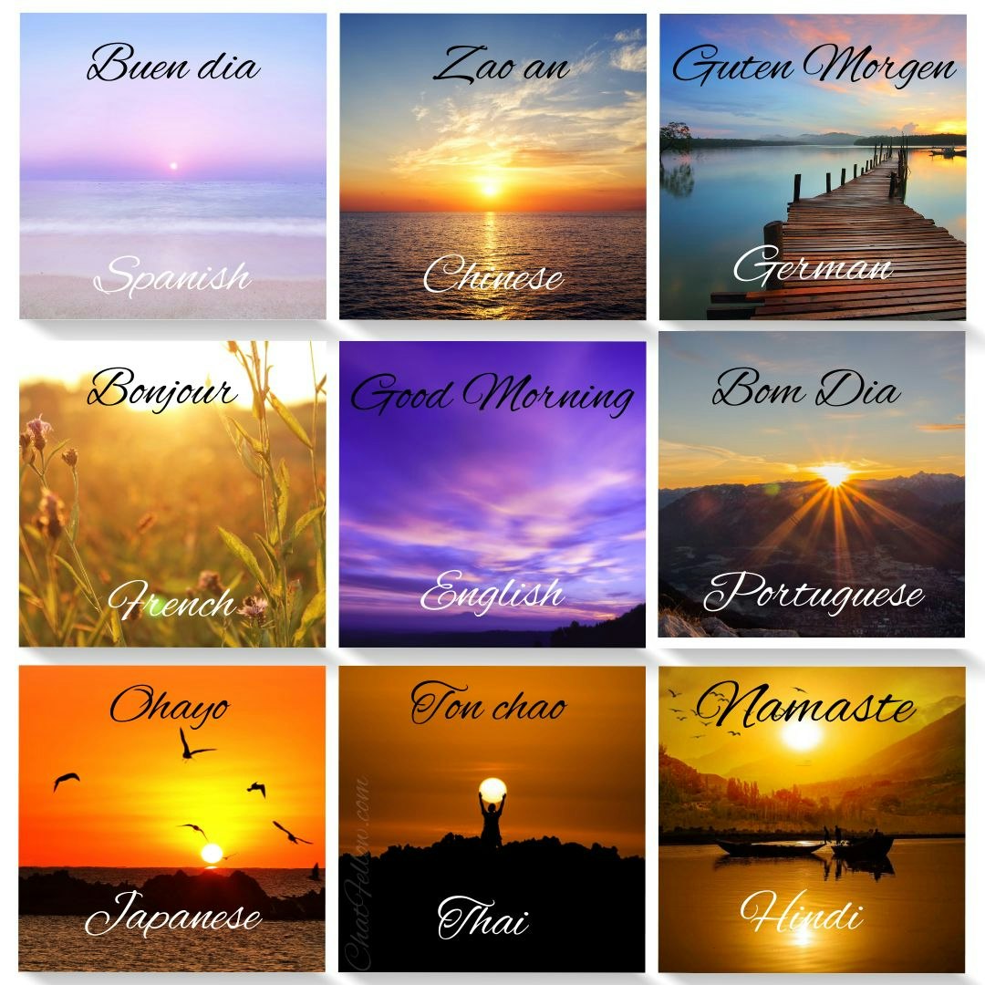 ChatFellow gallery image