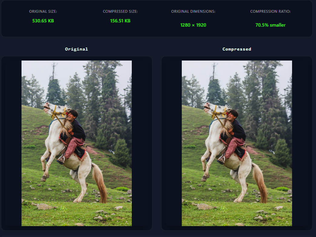 Image Compressor gallery image