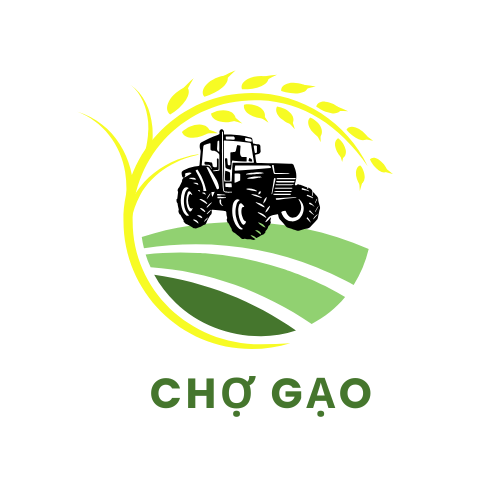 Chợ Gạo