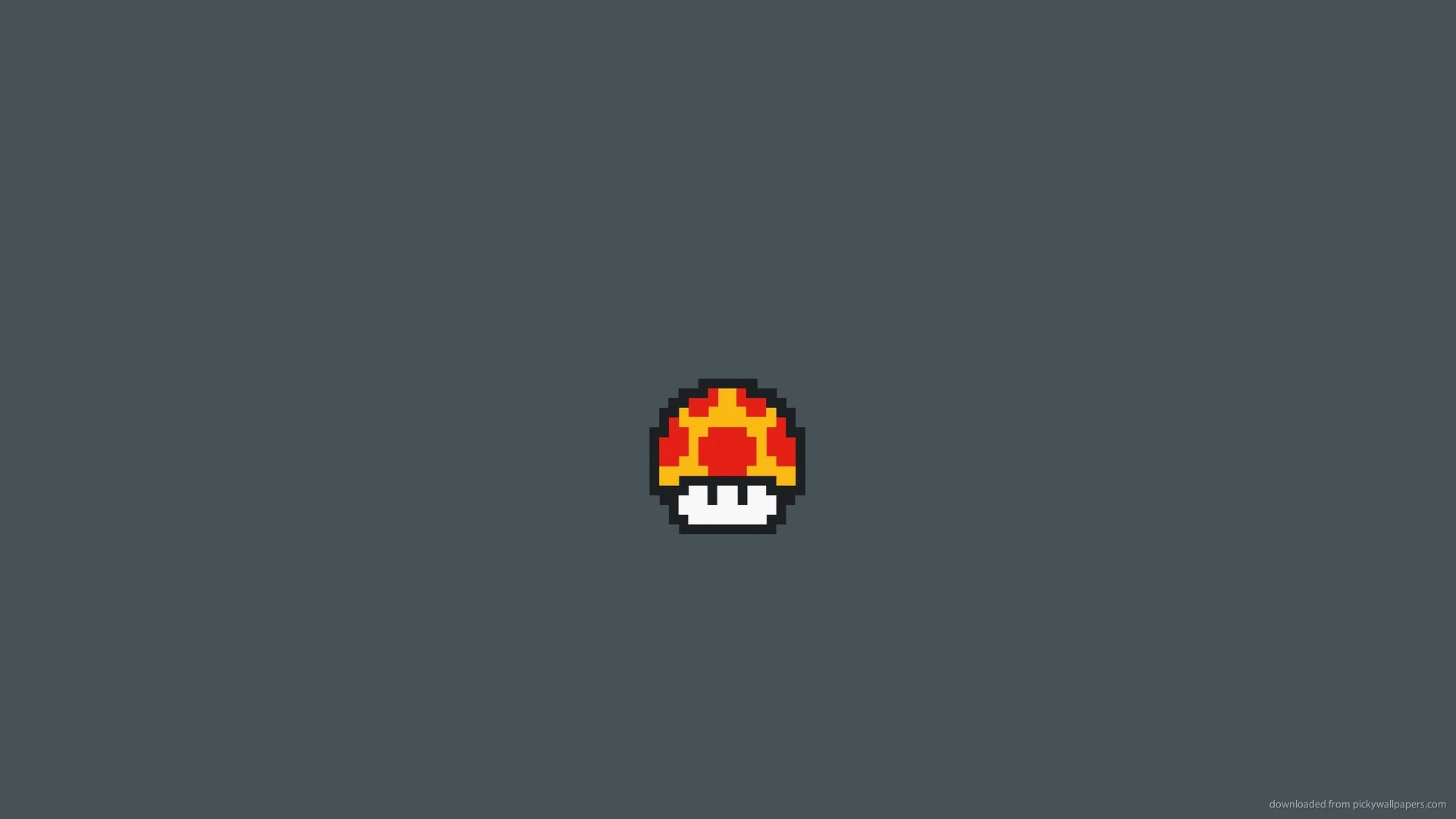 Anna Schneider cover