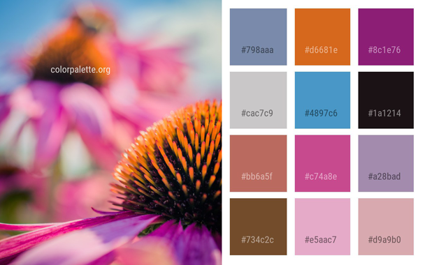 Color Palette gallery image
