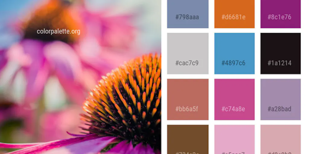 Color Palette - Product Information, Latest Updates, and Reviews 2024 ...