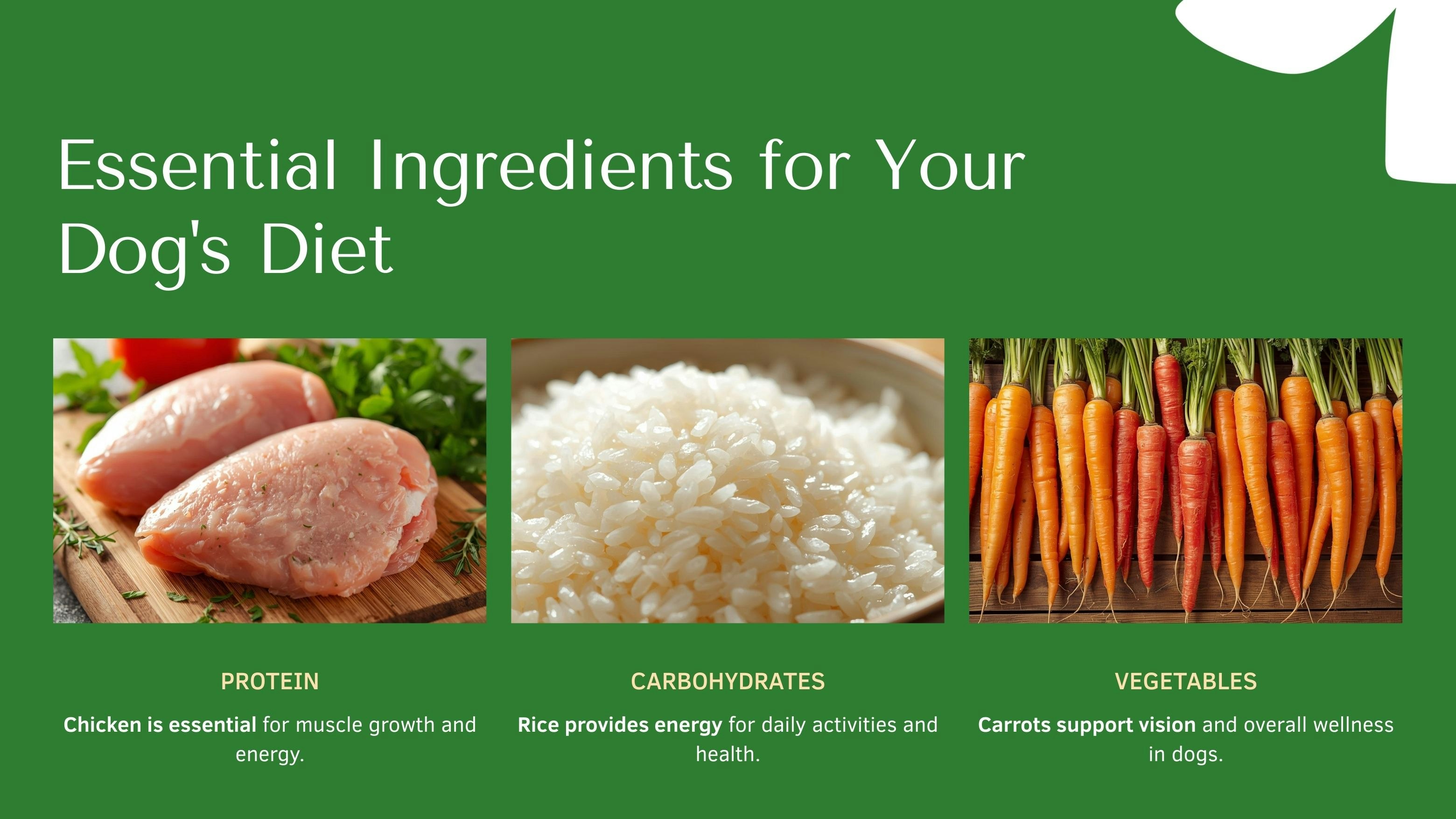 2026 Homemade Dog Food Guide  gallery image