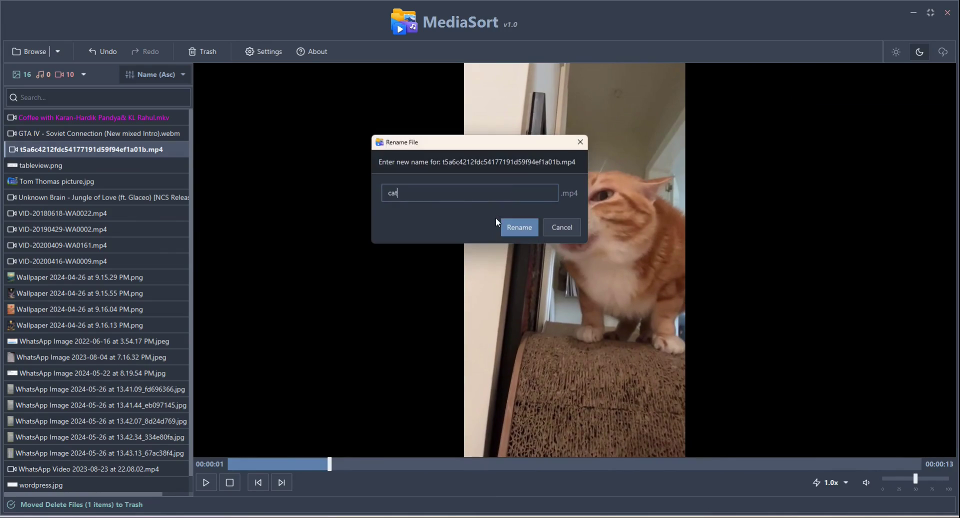 MediaSort - Screenshot 4 showing product features and functionality