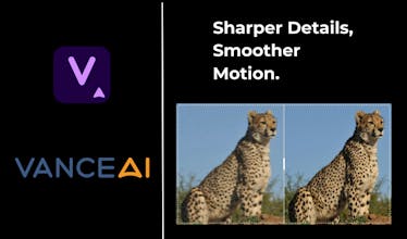 Vance Video AI gallery image