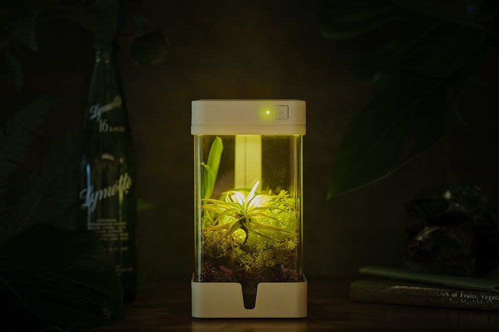 OrchidBox Smart Mini Terrarium 🌱 gallery image