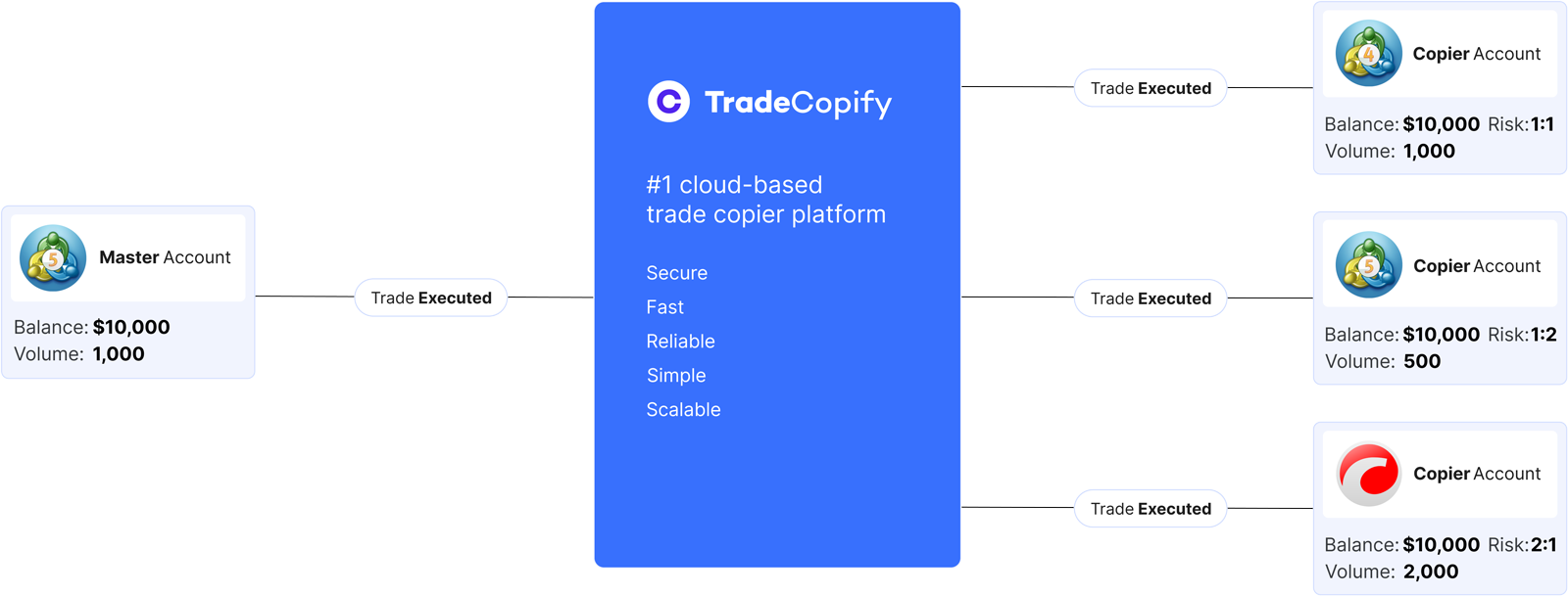 TradeCopify gallery image