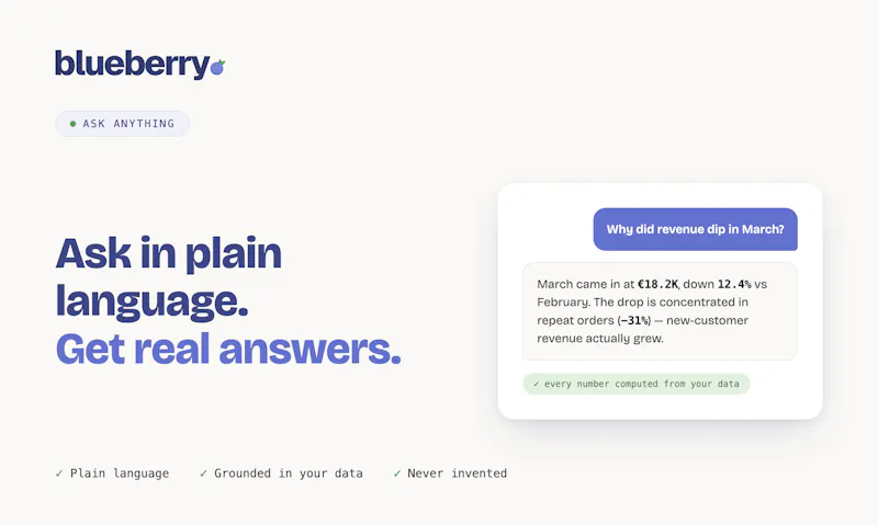 blueberry. screenshot 4