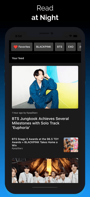 K-Pop Fans gallery image