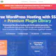 Free Webhosting and Wordpress Plugins