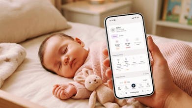 Nobilog gallery image