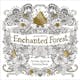 Enchanted Forest: An Inky Quest and Coloring Book