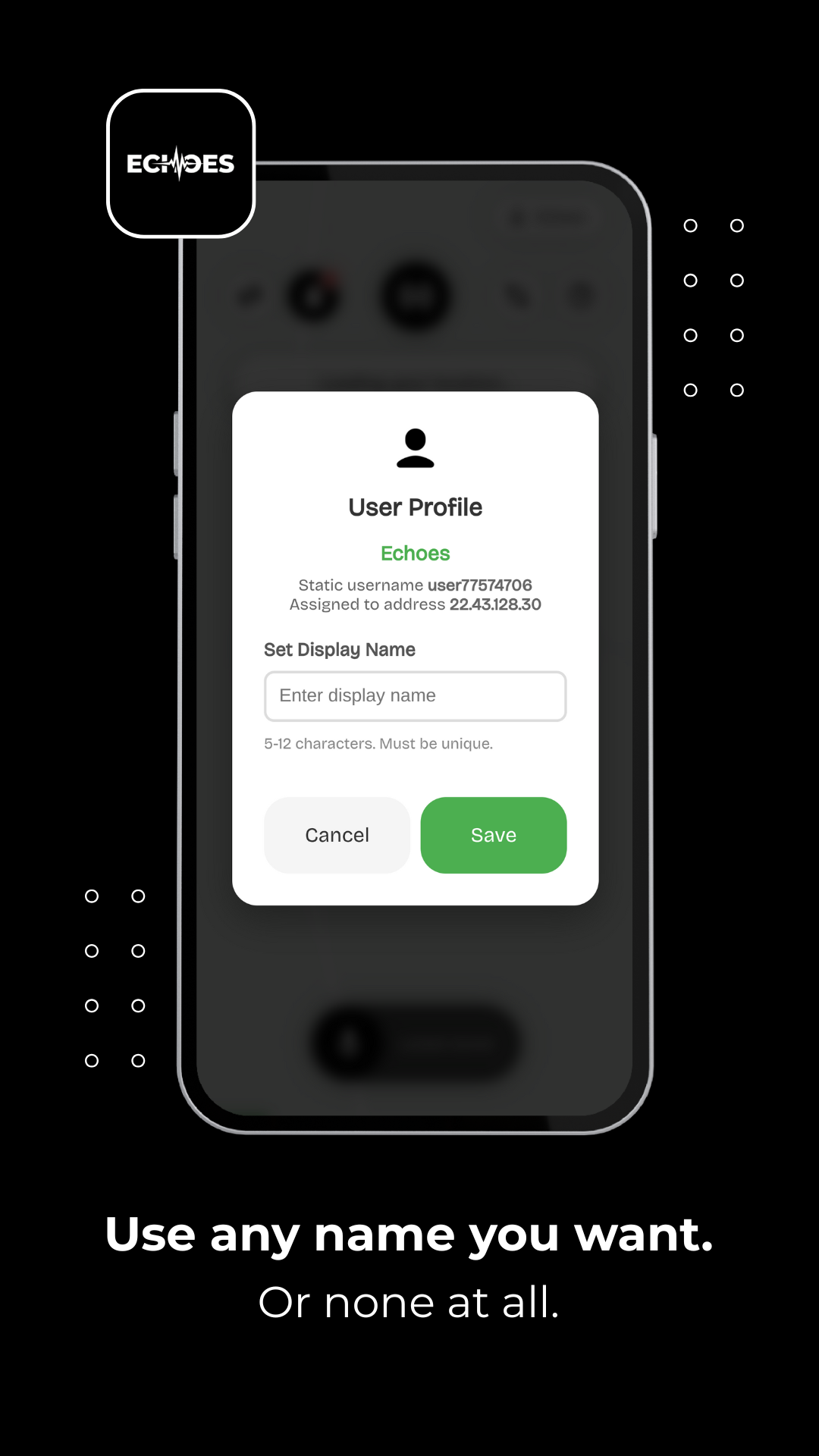 Echoes gallery image