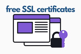 Violetnorth gallery image