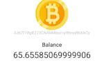 Fake Bitcoin Wallet image