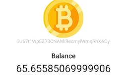 Fake Bitcoin Wallet media 1