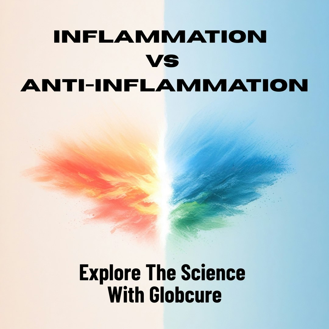Inflammation Lifestyle Toolkit