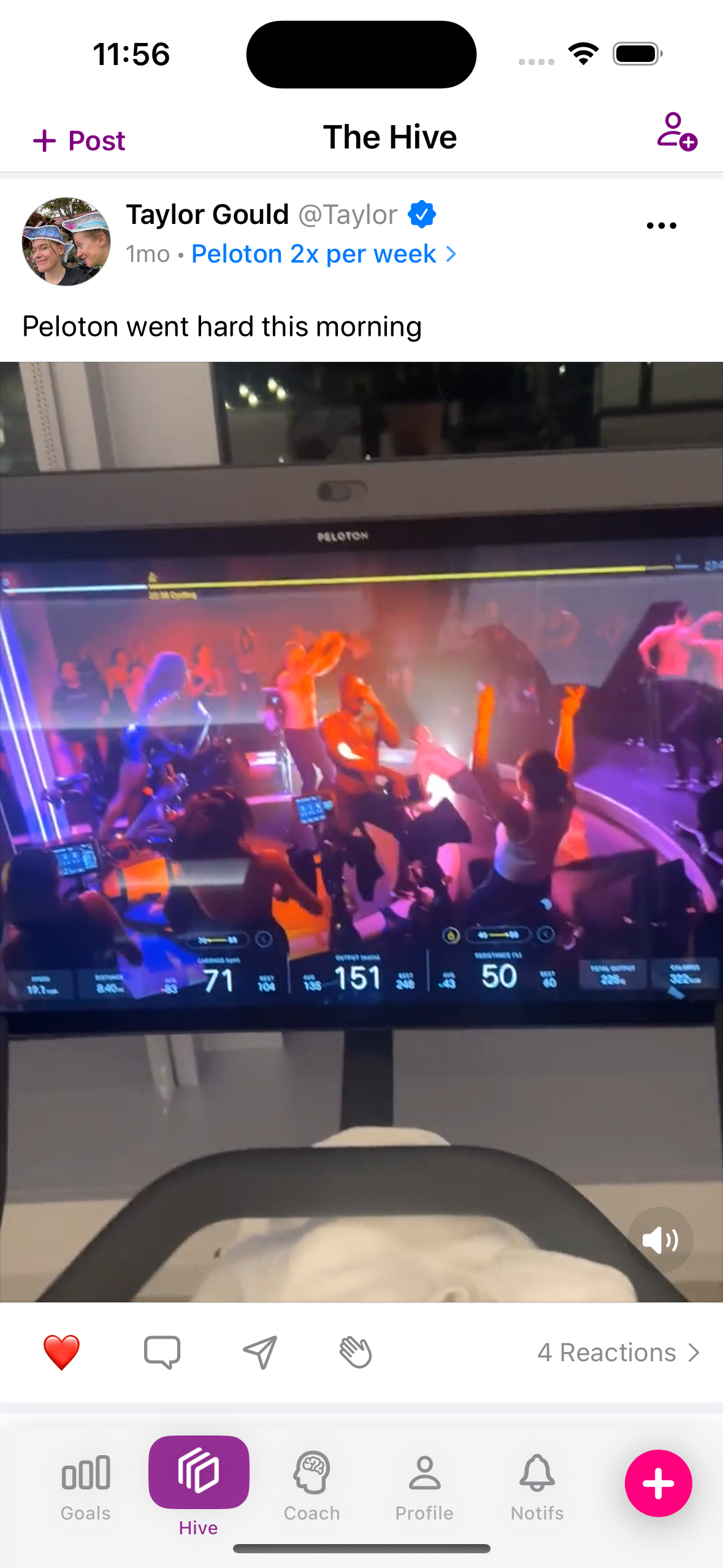 GoalHive gallery image