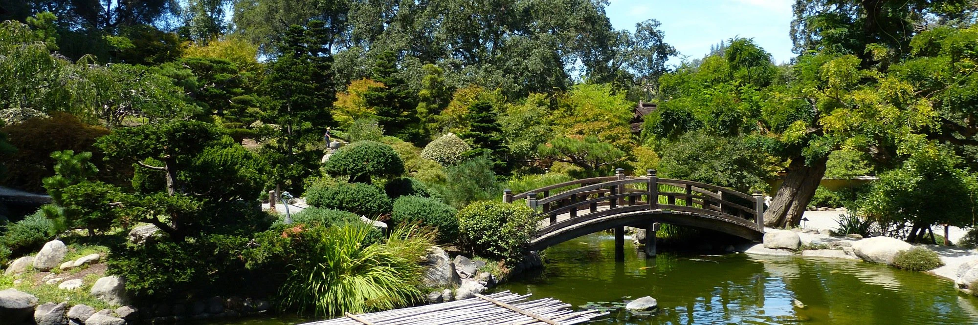 Adam Overholtzer cover