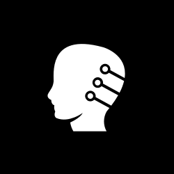 Humaan.ai logo