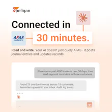 Peliqan MCP Server gallery image