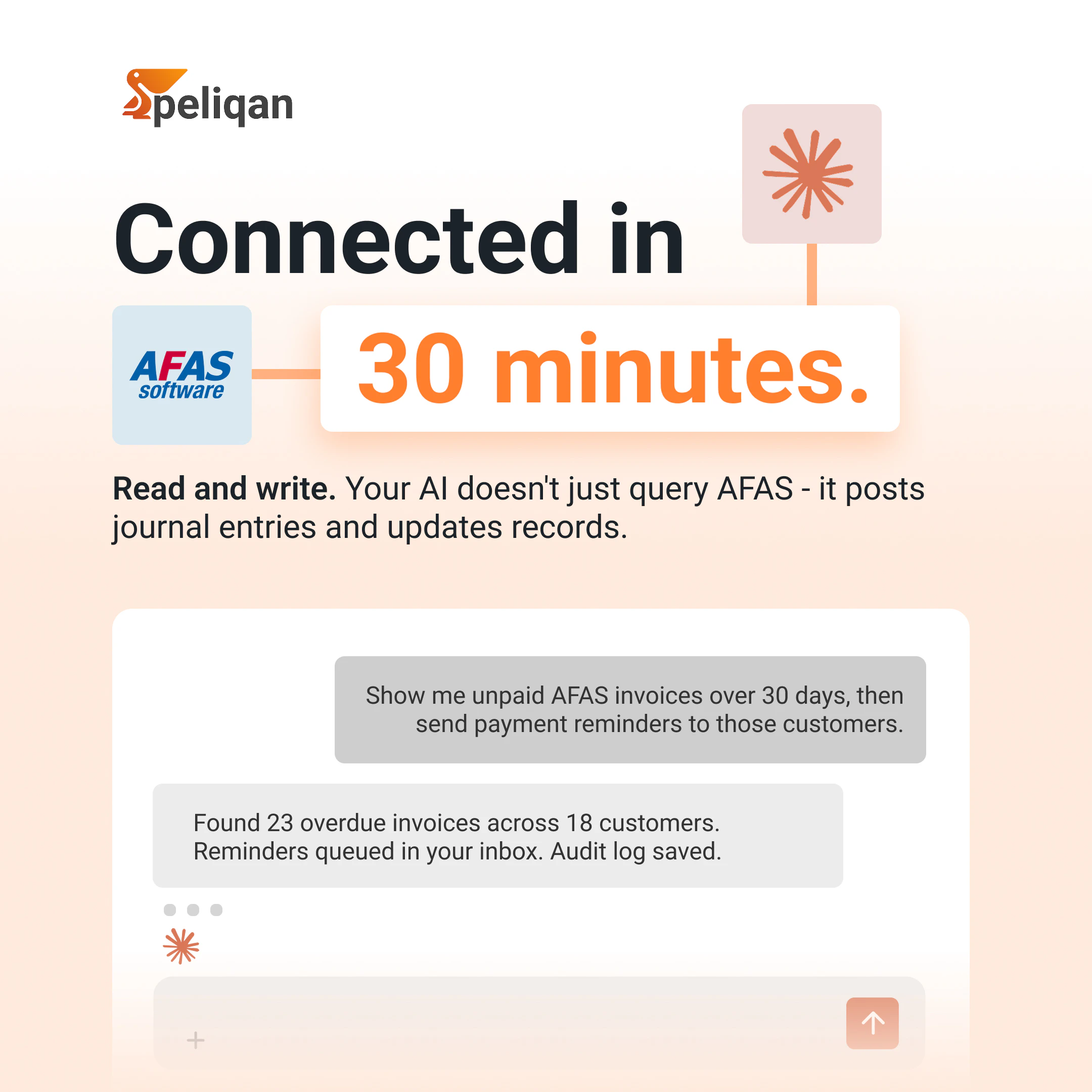 Peliqan MCP Server screenshot 2