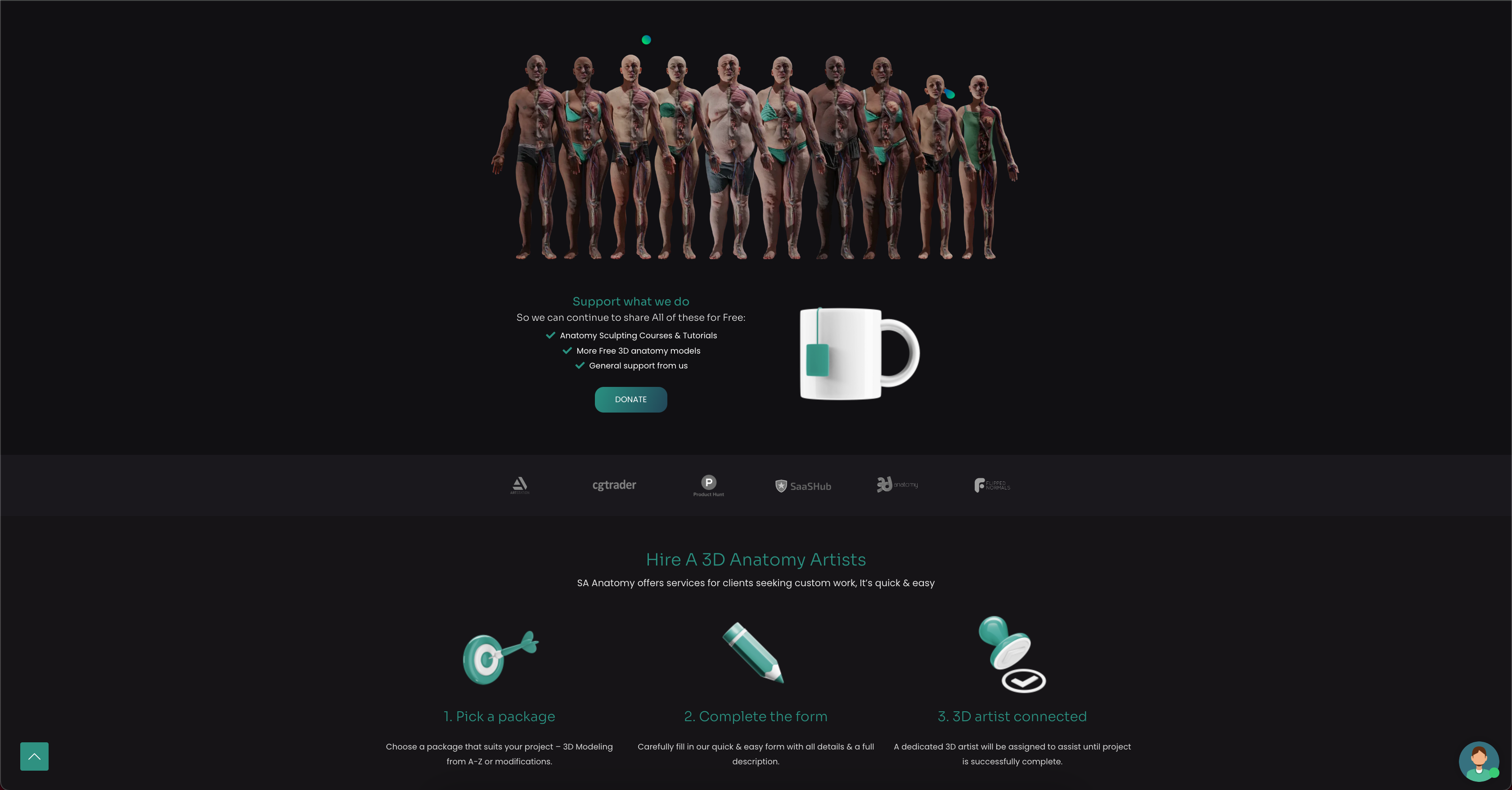 SA Anatomy gallery image