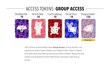 VeeFriends gallery image