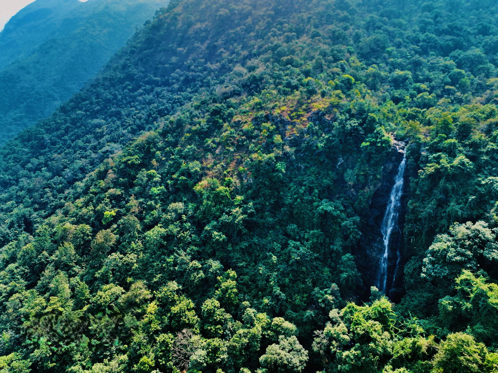 ArakuTrip screenshot 14
