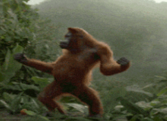 Gorilla vs 100humans