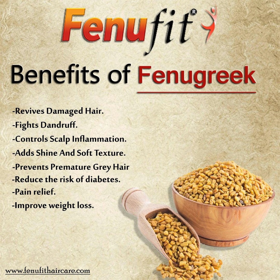 fenufit media 12