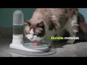 KittySpring gallery image