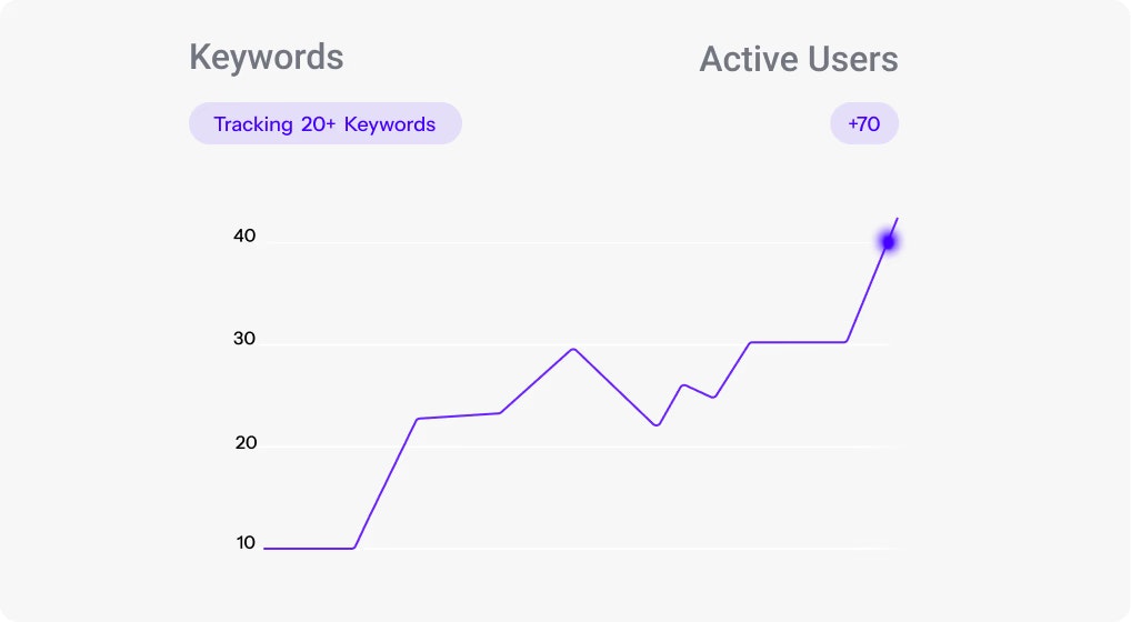 SnowSEO gallery image