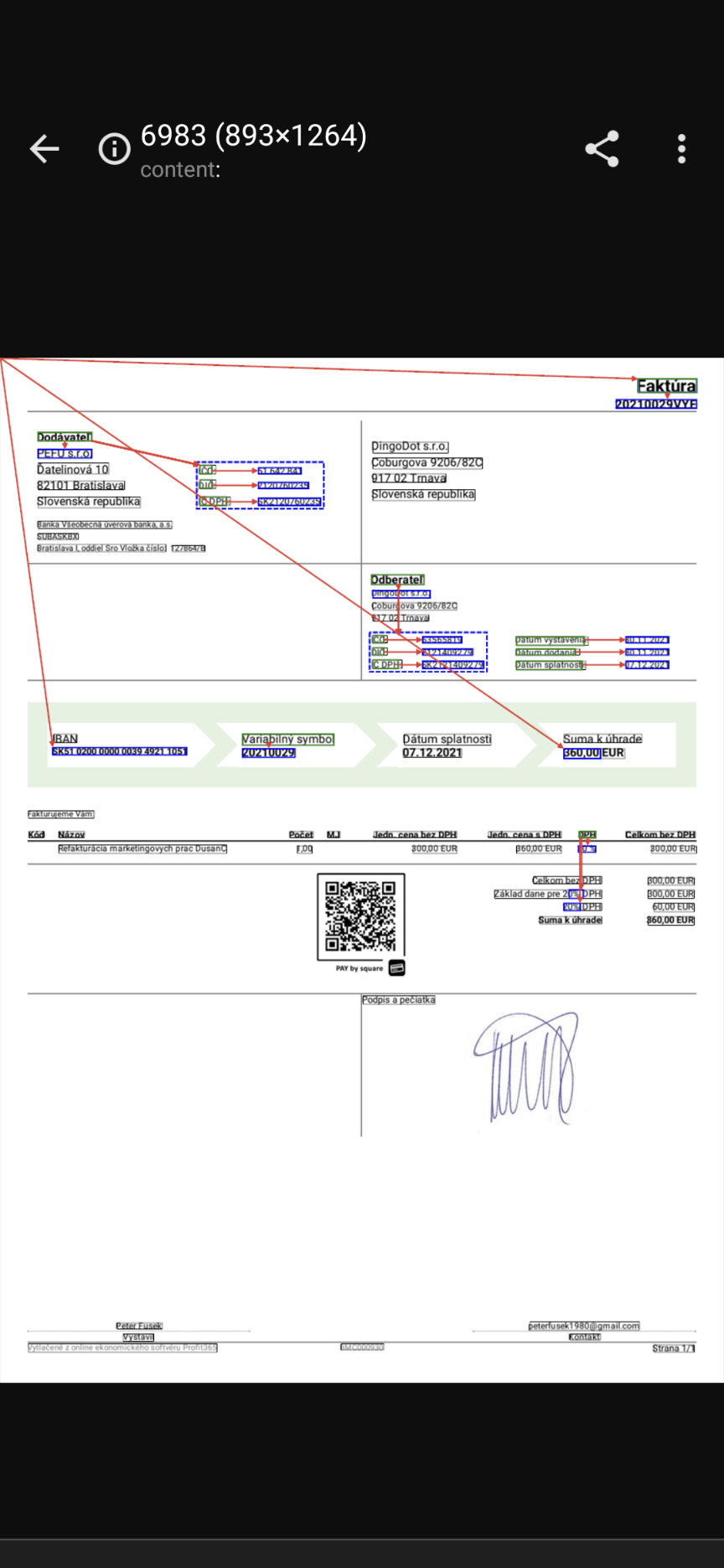 DingoDot gallery image