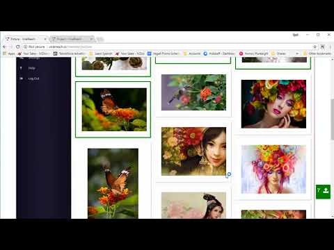 Viral Reach Pro gallery image