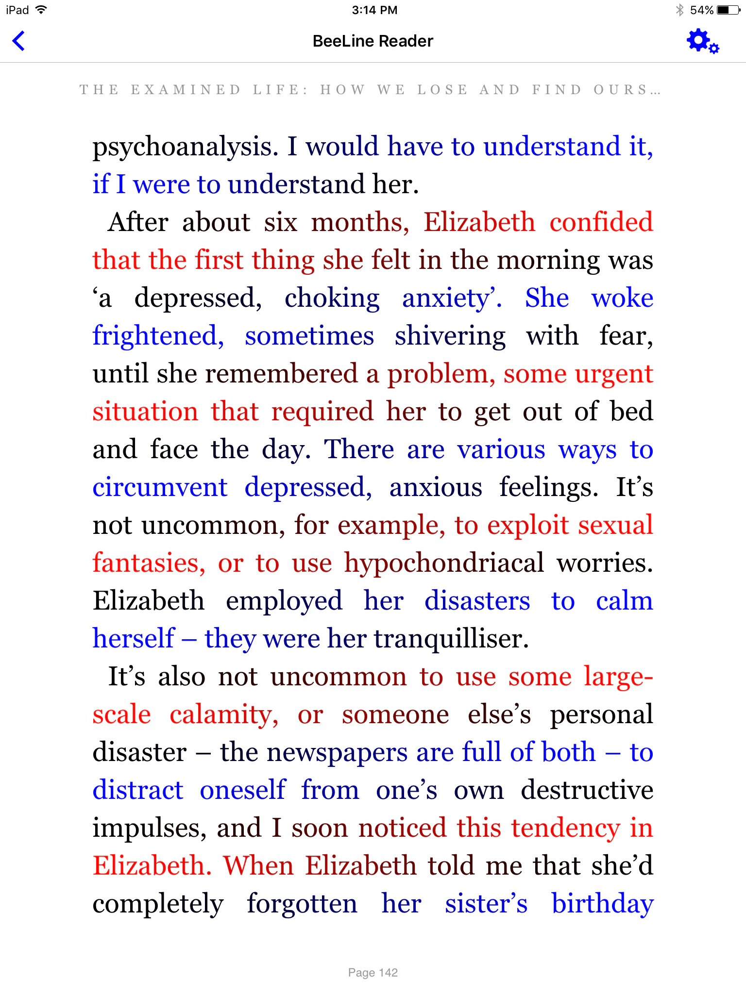 BeeLine Reader Image